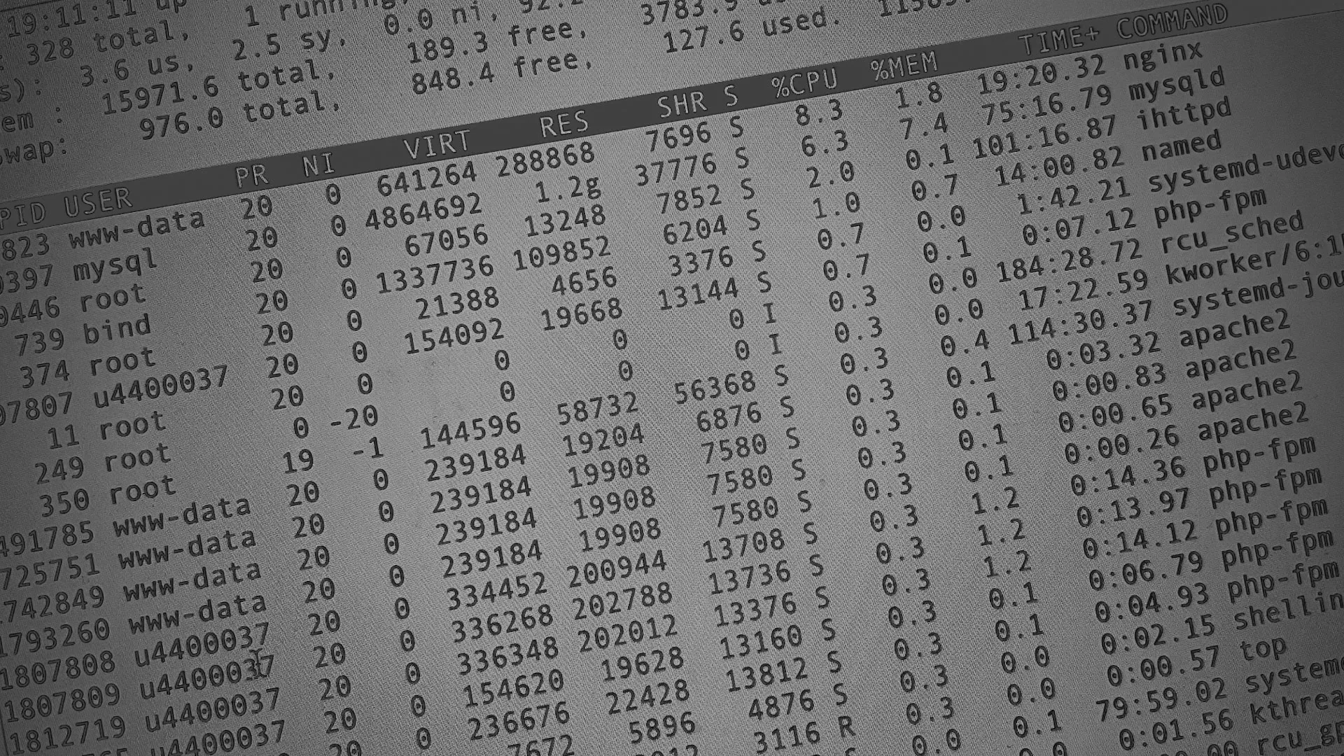 Настройка сервера в Уяре Настройка сервера в Уяре